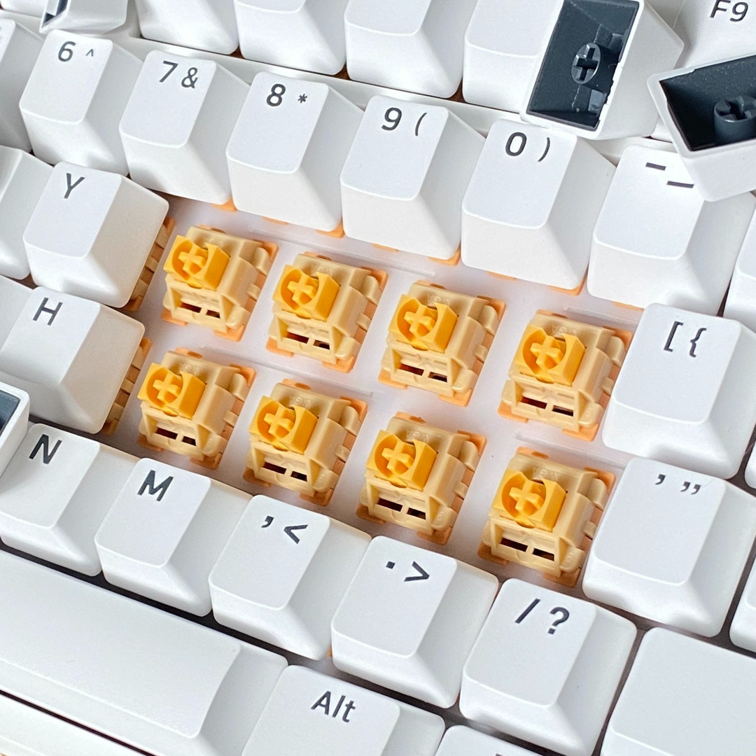 photo material  (12).png